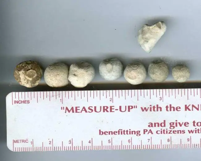 Musketballs