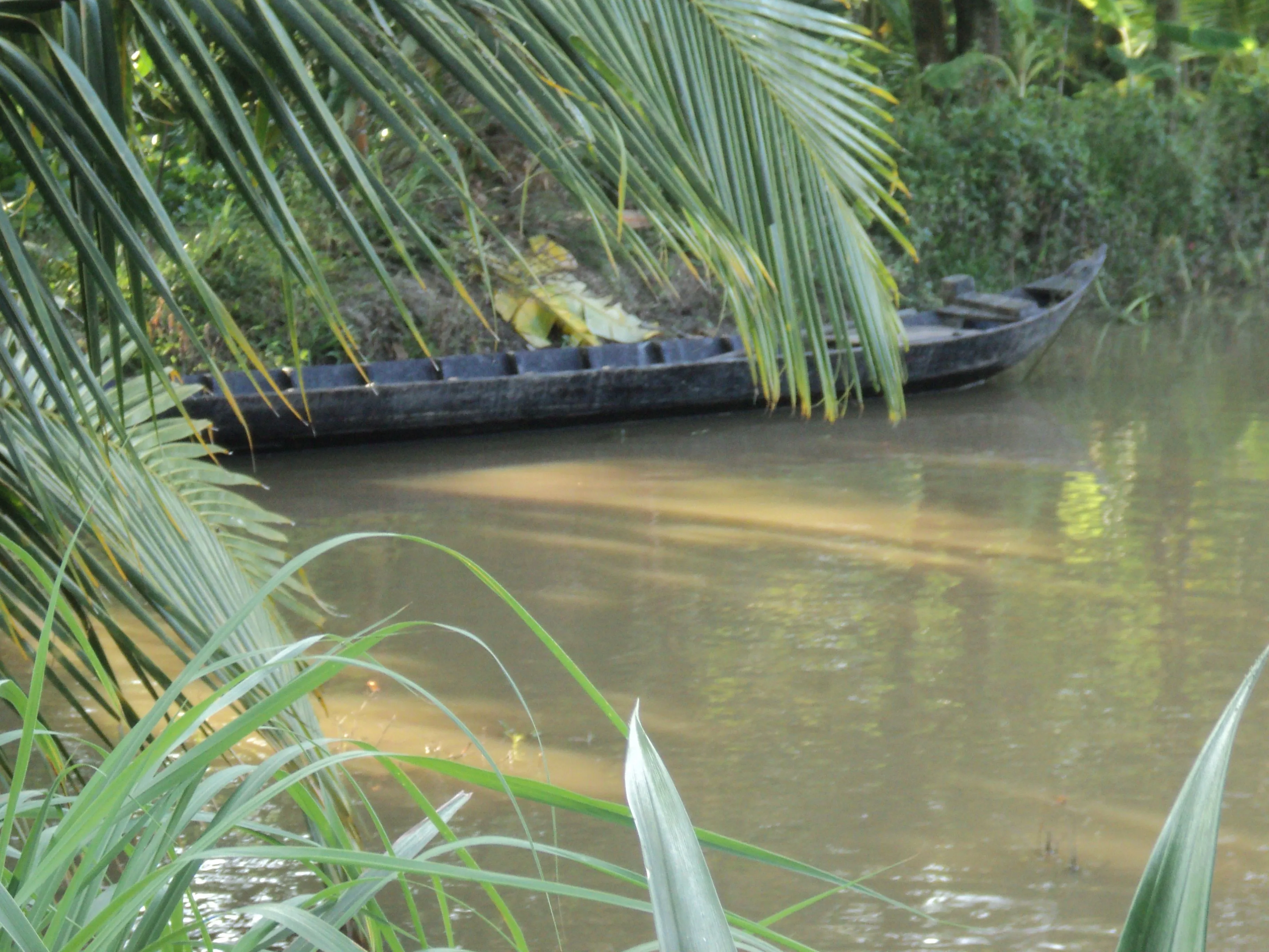my back yard. mekong delta