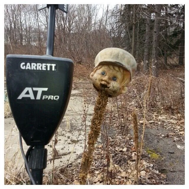 My favorite pic I ever took detecting. Don't know why I put the head there, but glad I did.