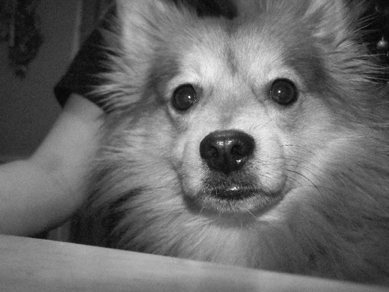 My partner in crime.... - Rufus