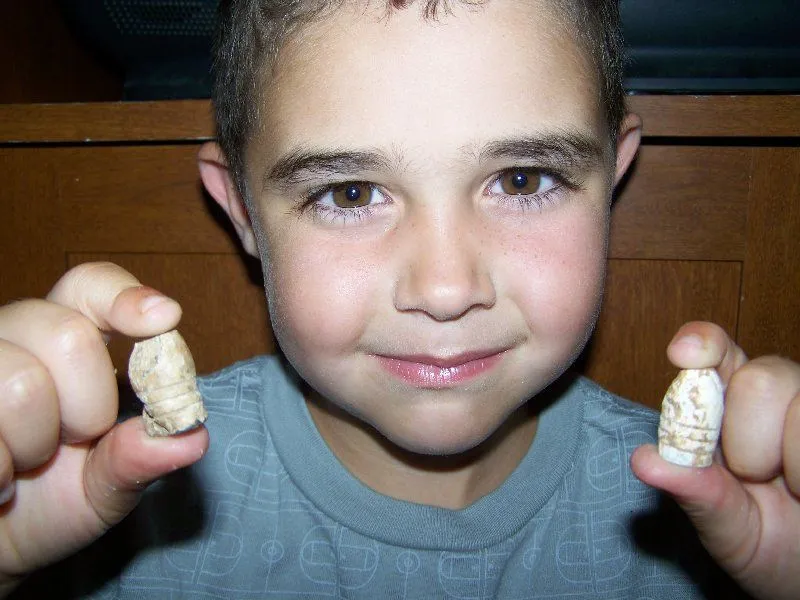 My youngest sons first civil war finds. - One fired and one that appears to be chewed.
