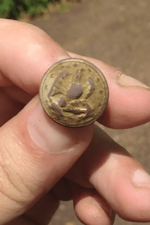 Navy button