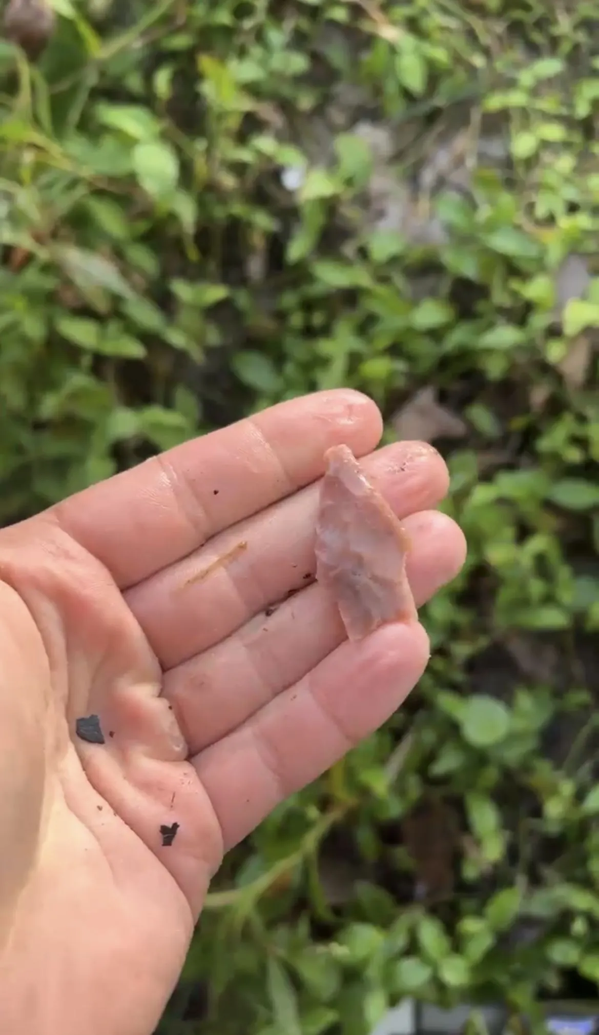Nice atlatl point my friend found!