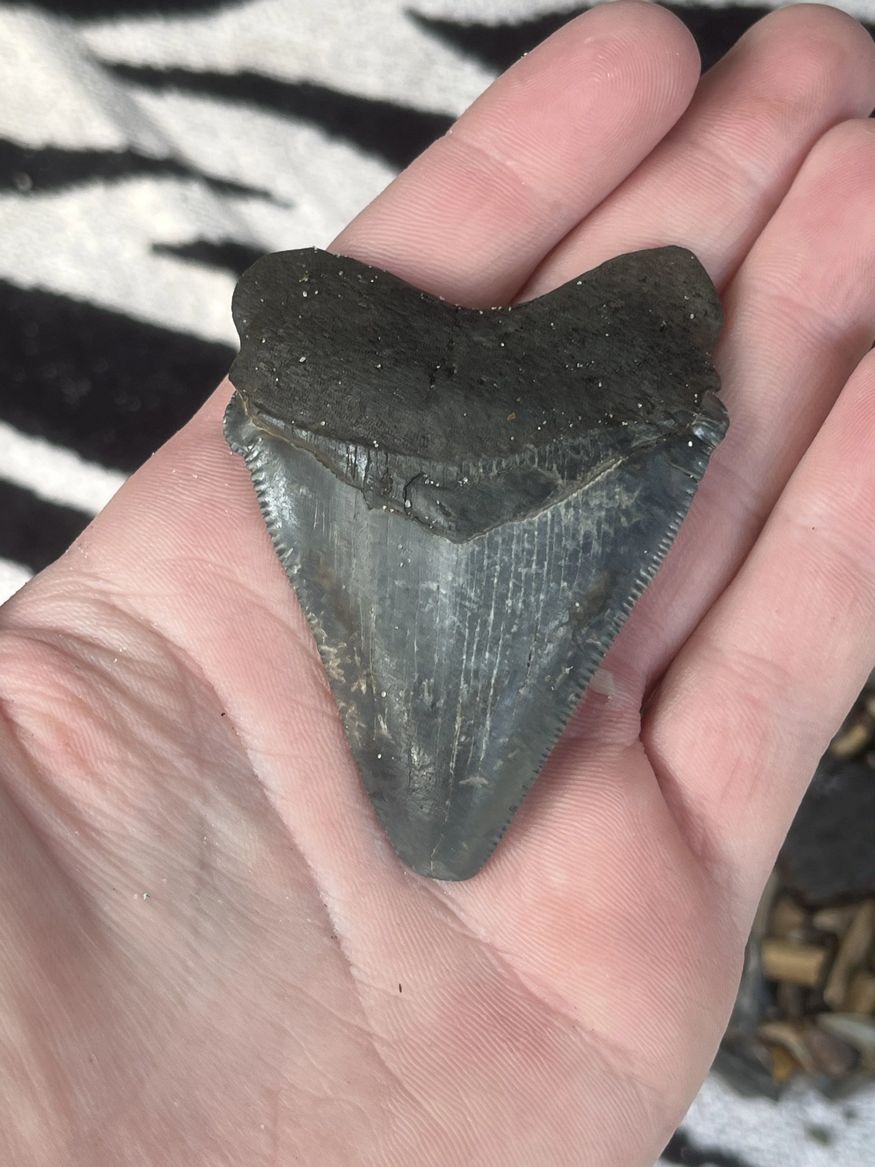 Nice chub my friend found