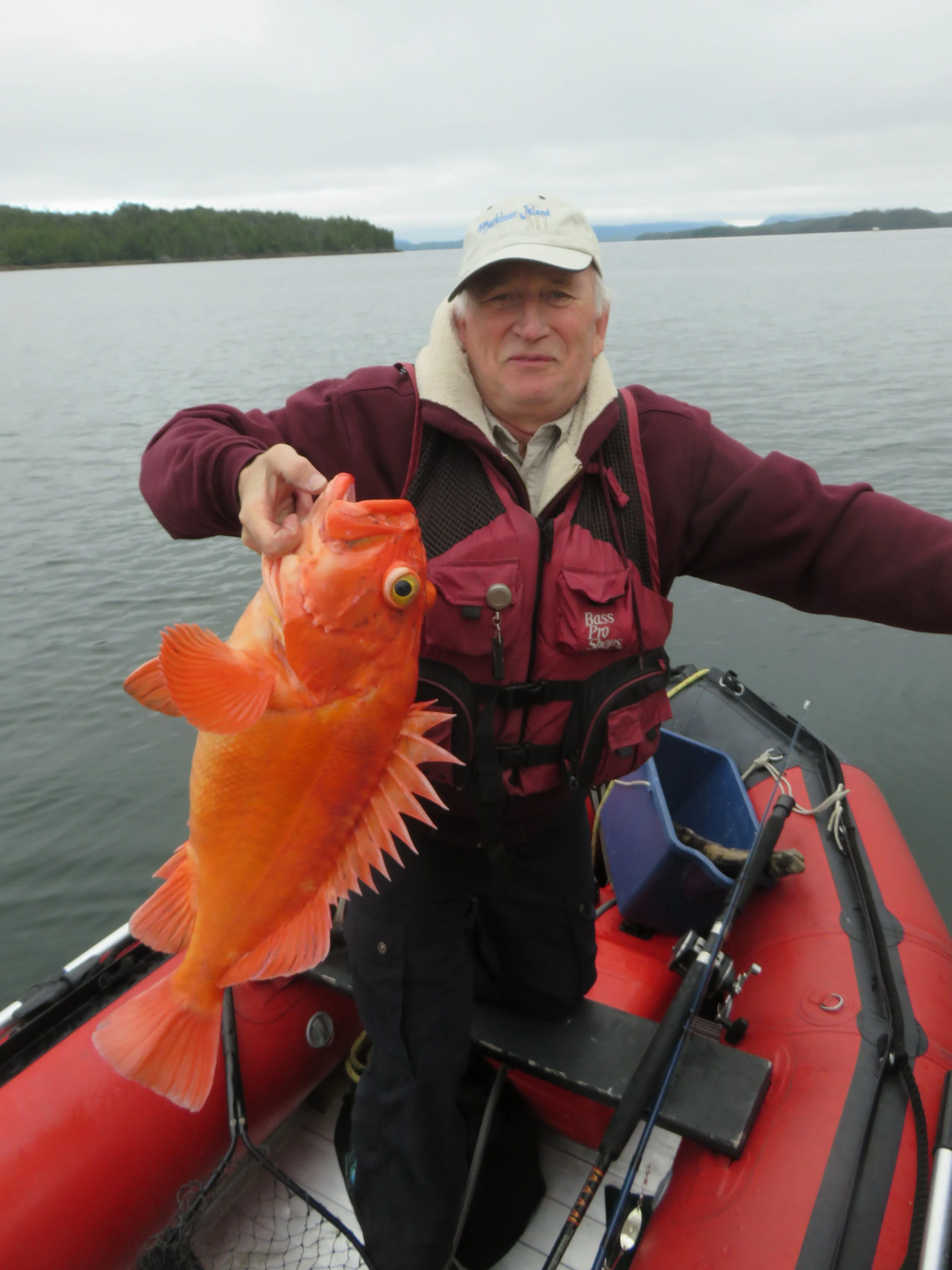 Nice snapper bro