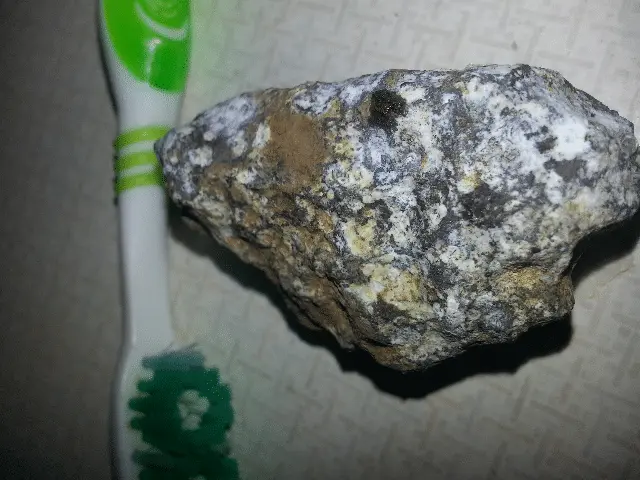 No Clue.  Not magnetic.