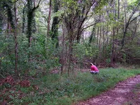 [No title]