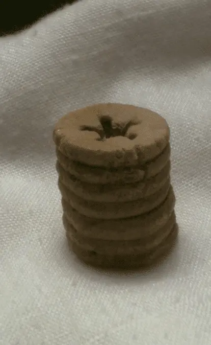 [No title]