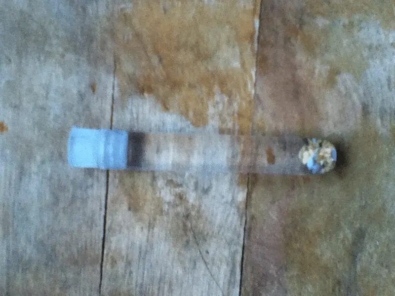 [No title]