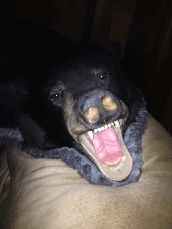 [No title]