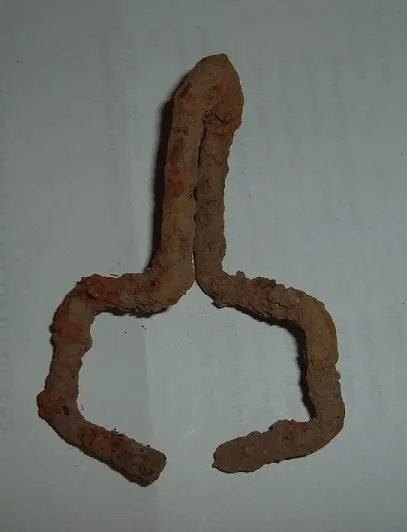 Not really sure. - I think this is something to do with a horse.