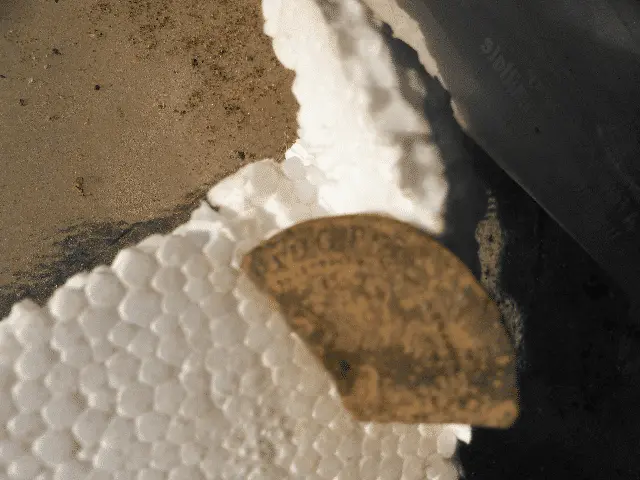 Obverse again-better lighting
