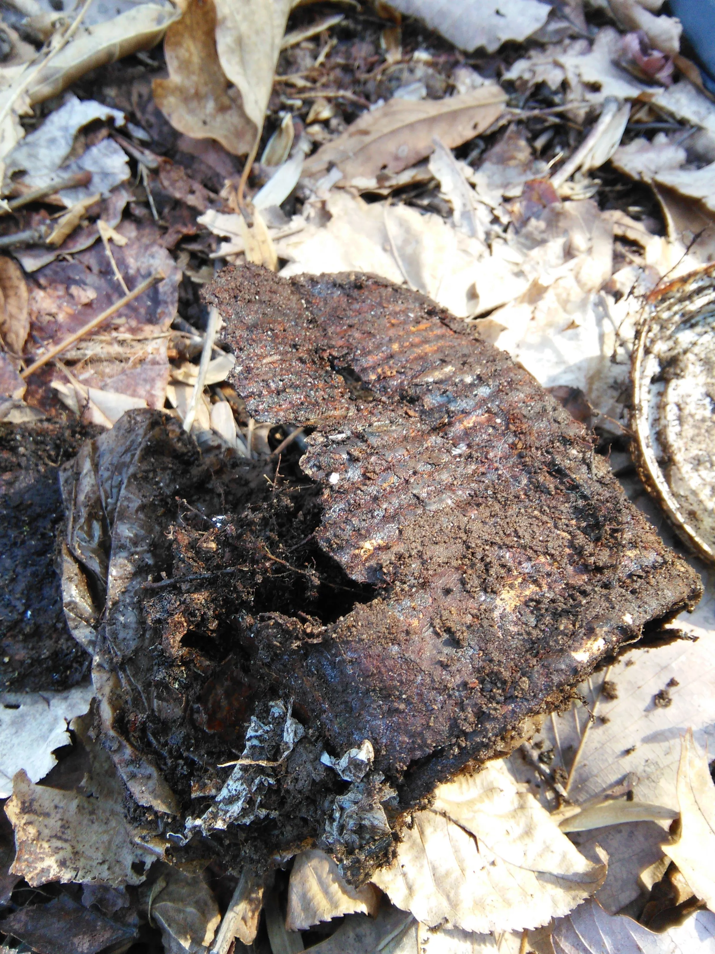 Old metal can.