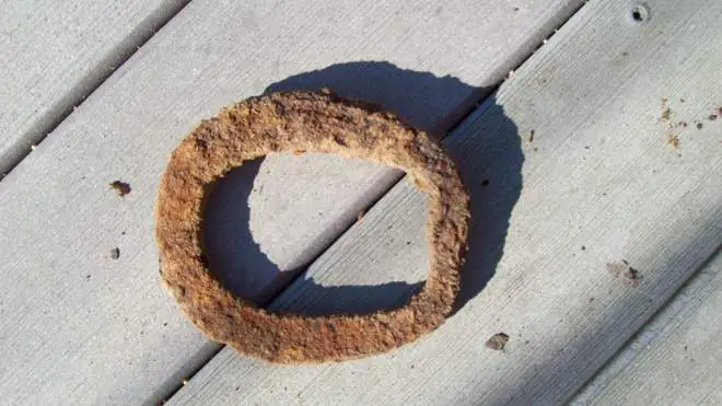 oxen shoe