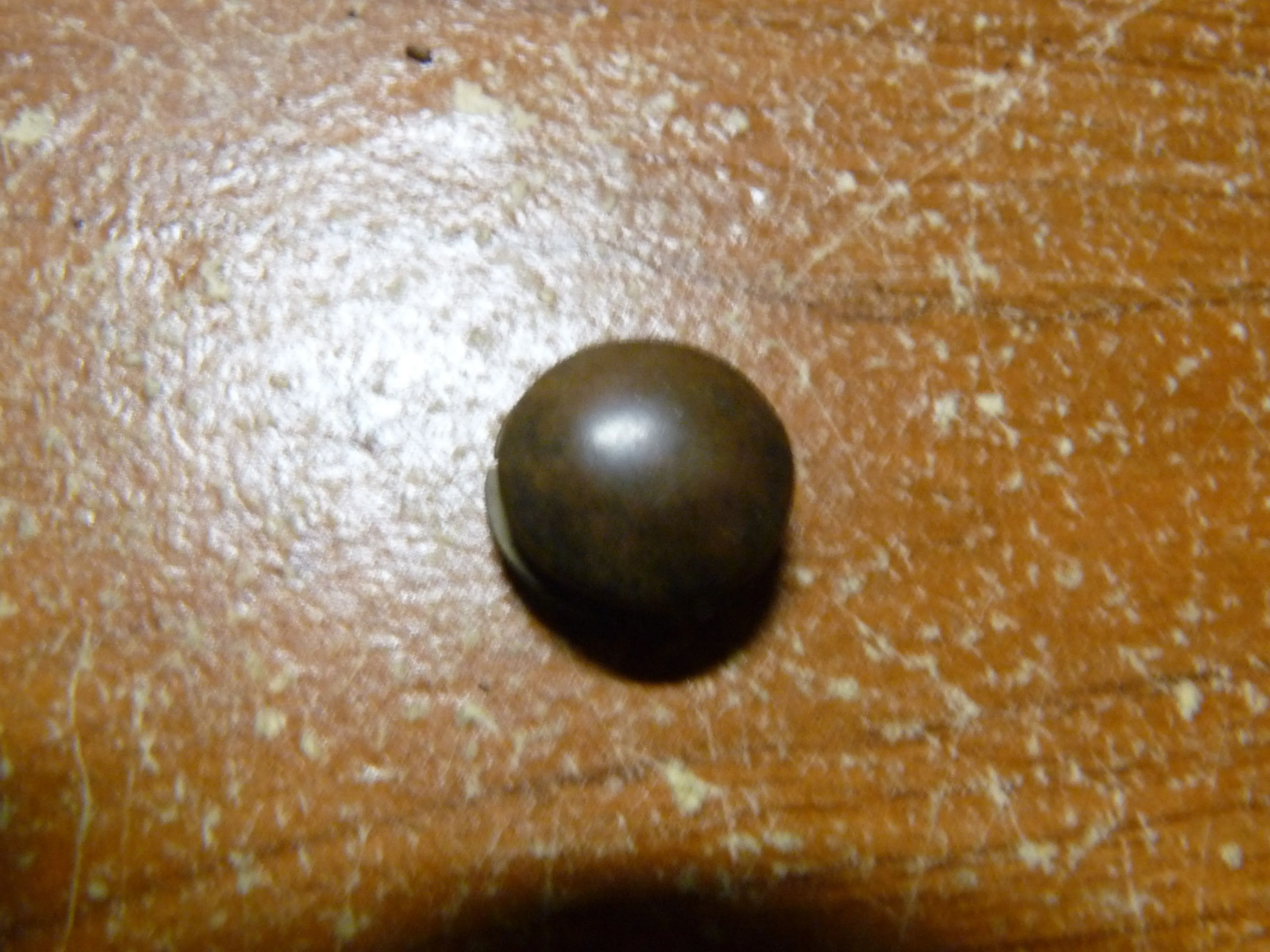 P1100332