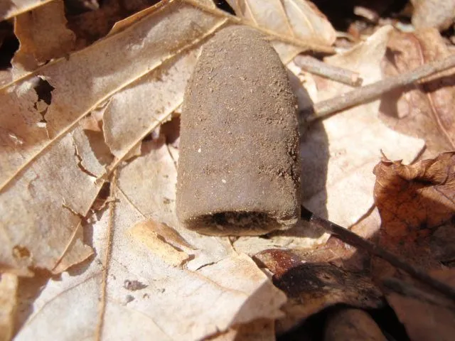 P2240859