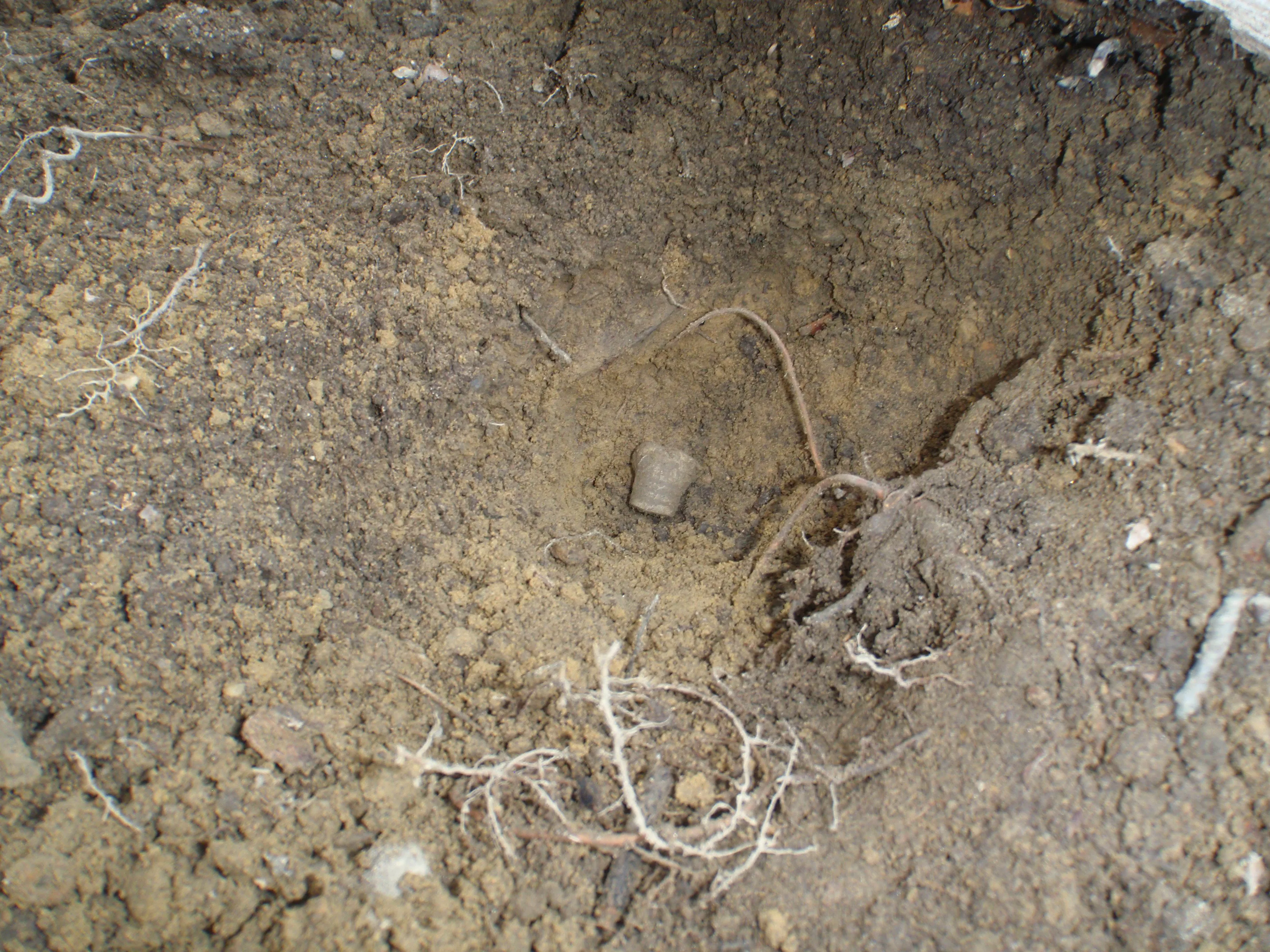 P4120626