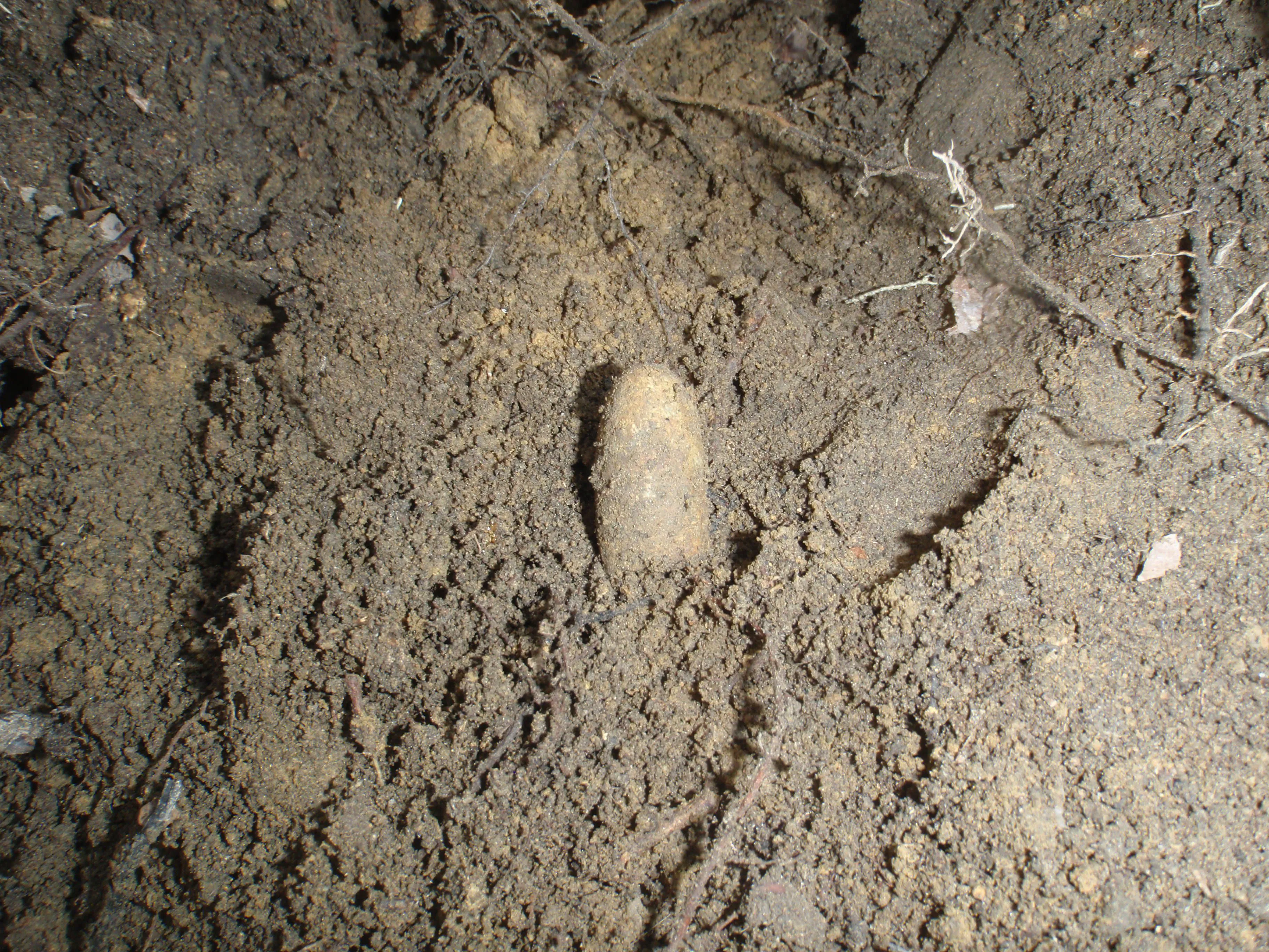 P4120627