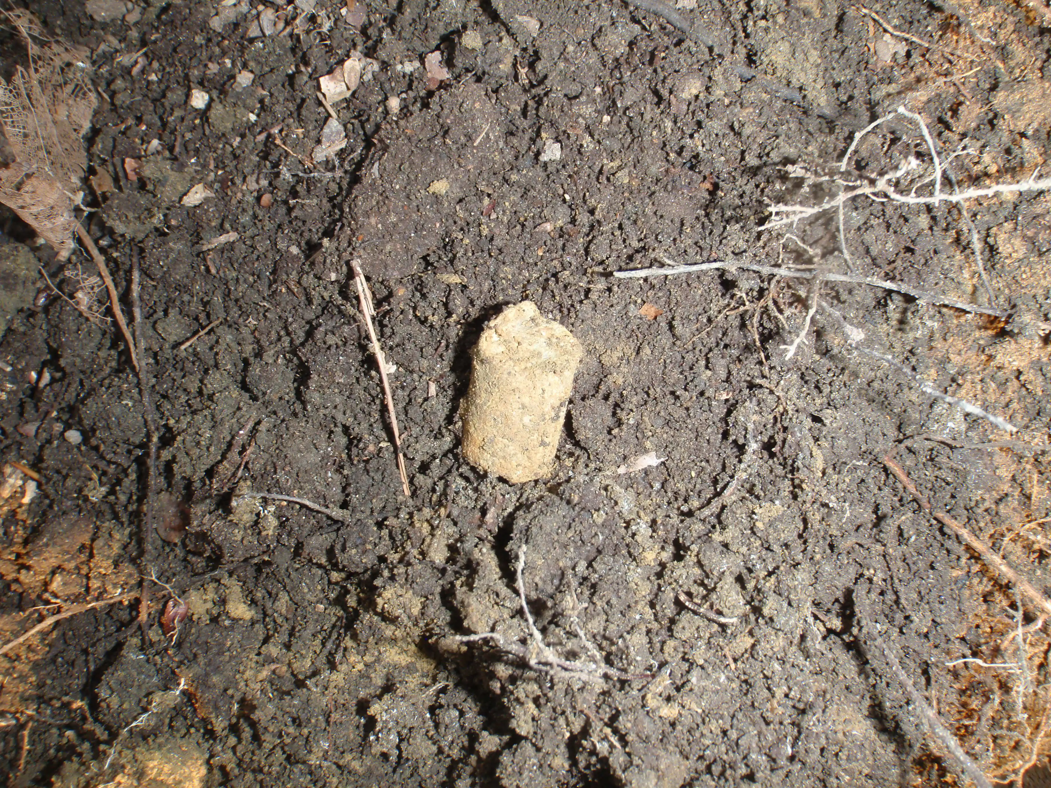 P4120629