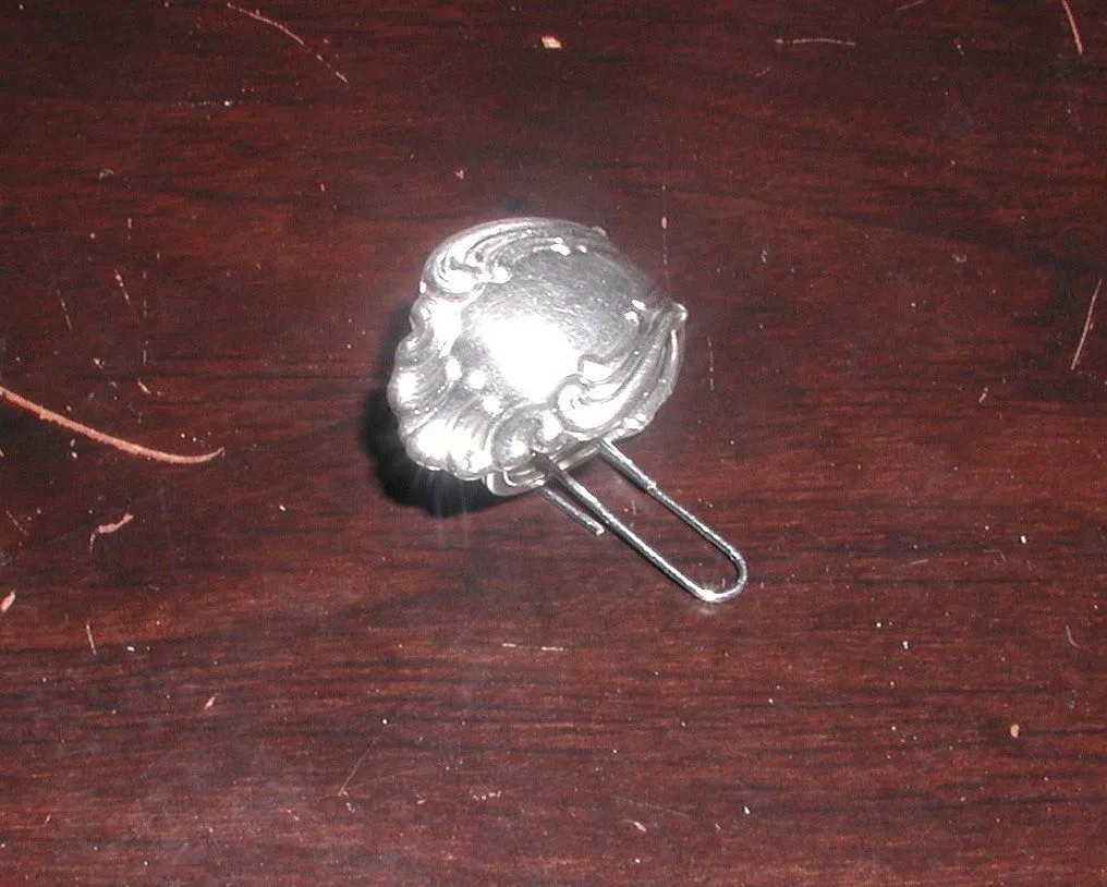 P6010004
