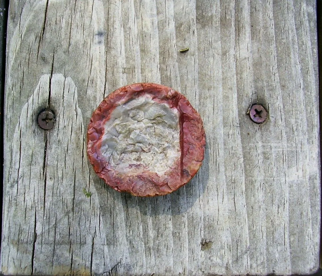 P6050002
