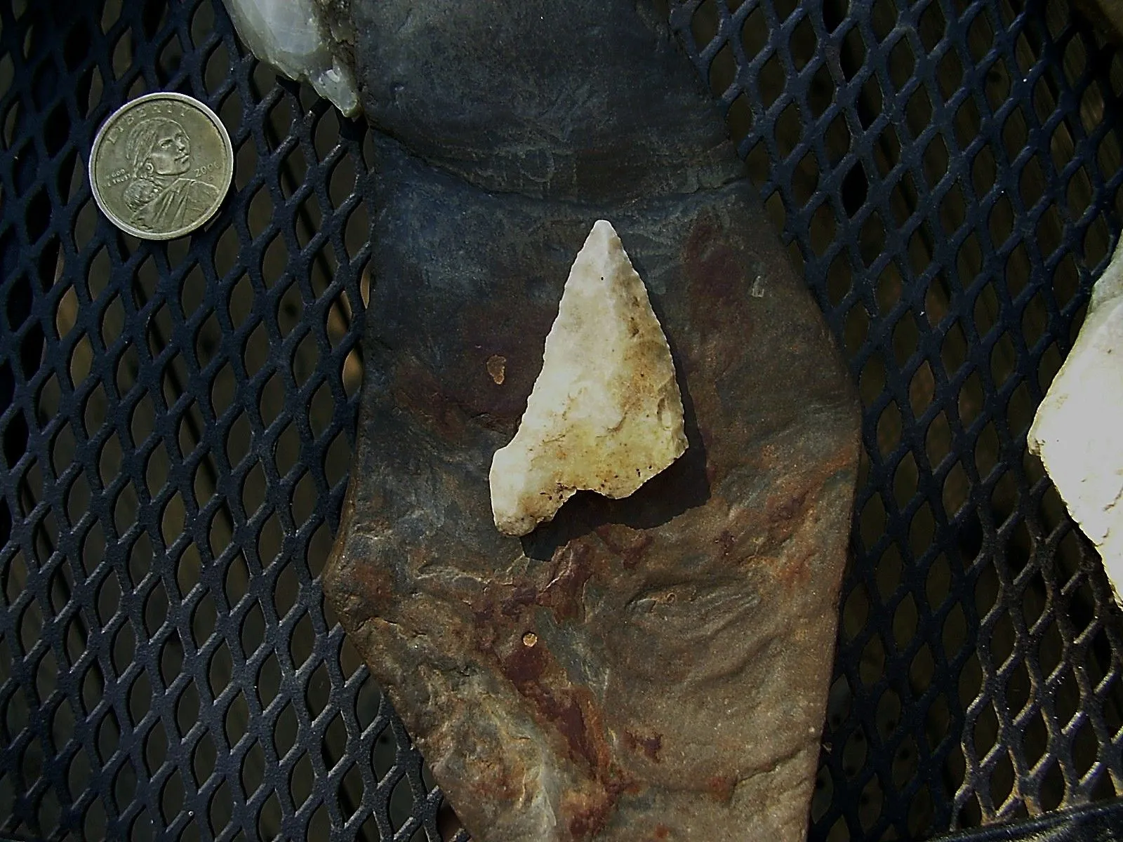 P8030107