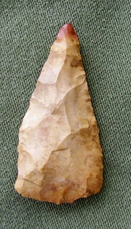 P8080131