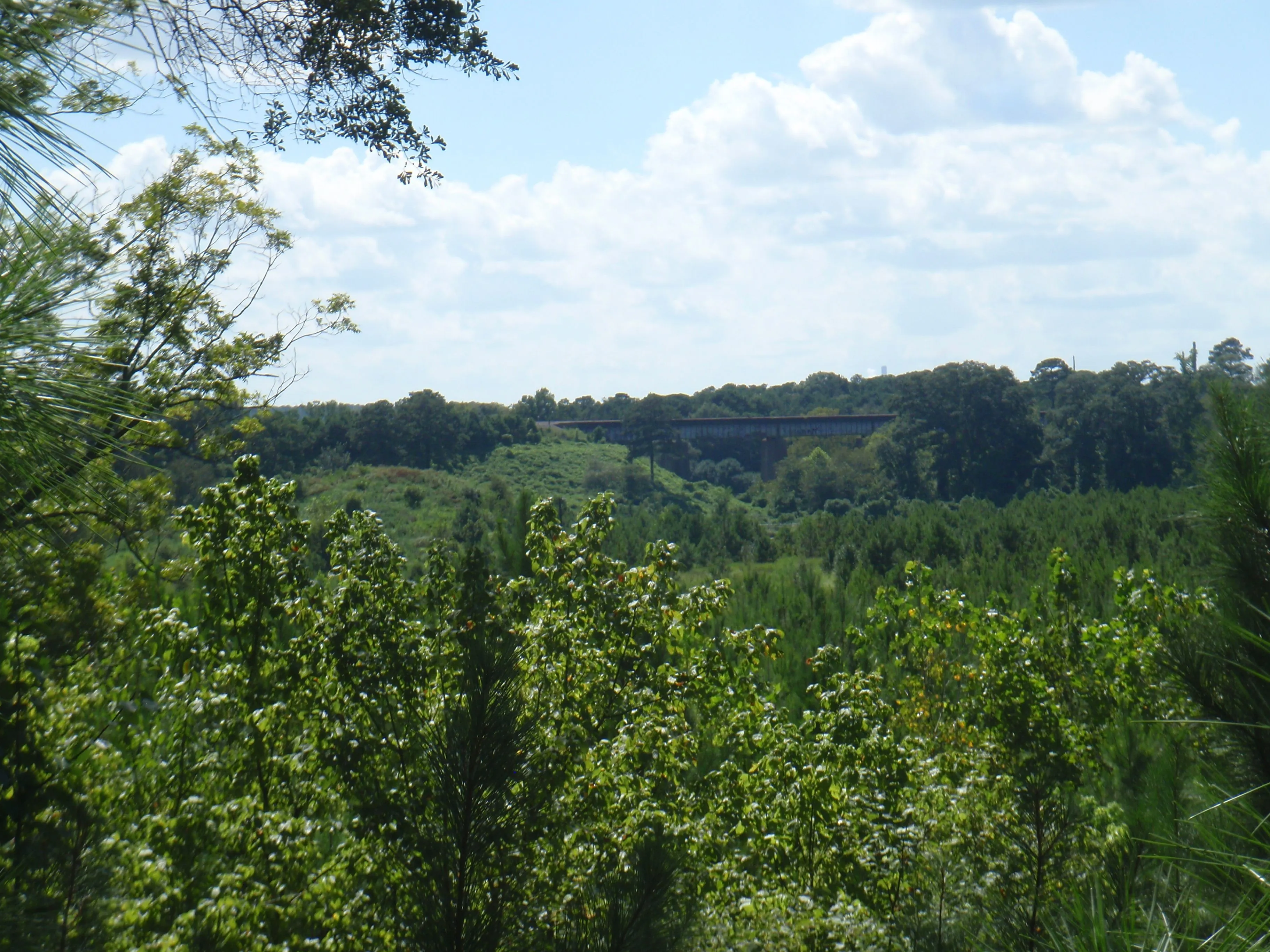 P8170277
