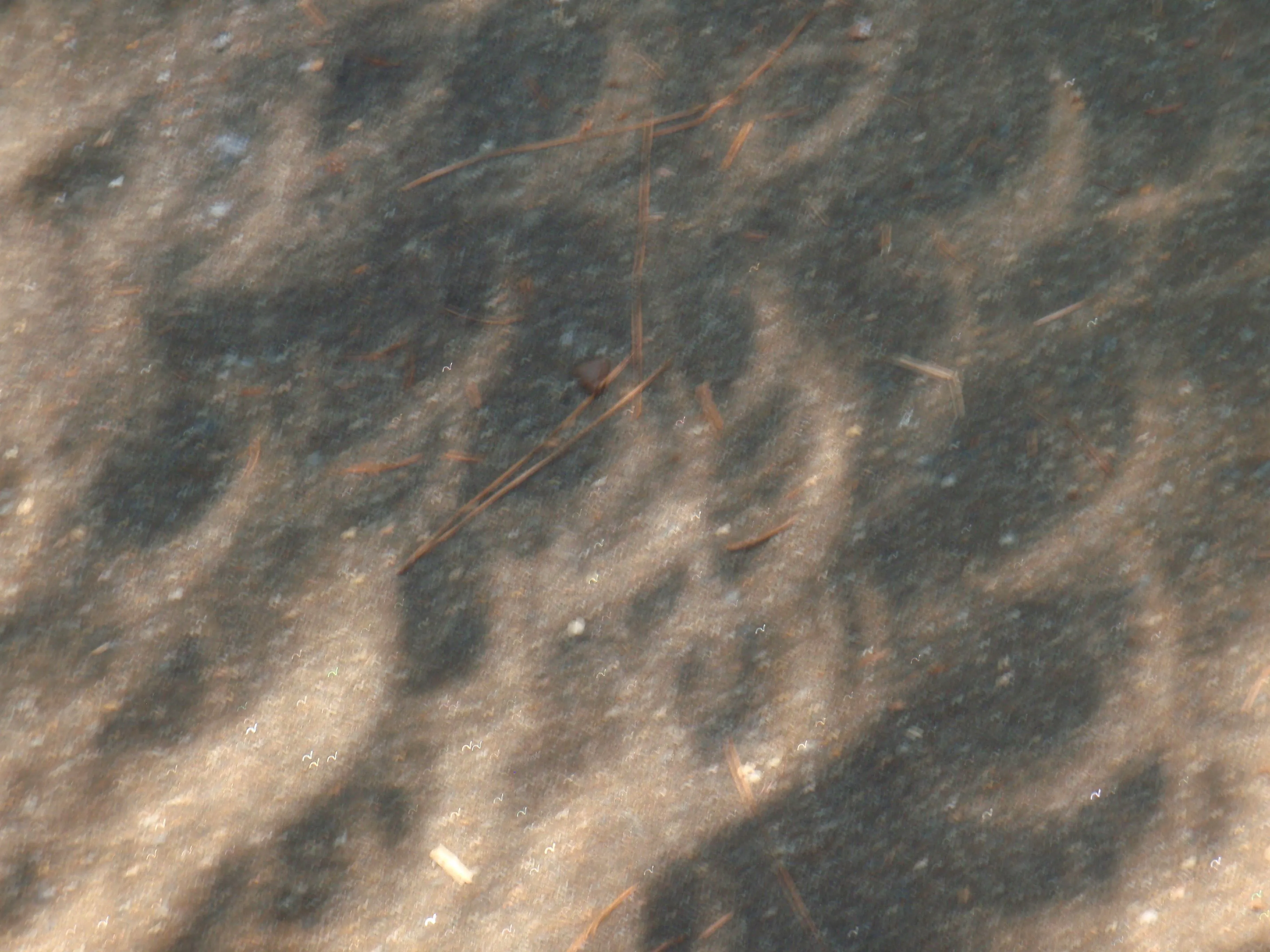 P8210283