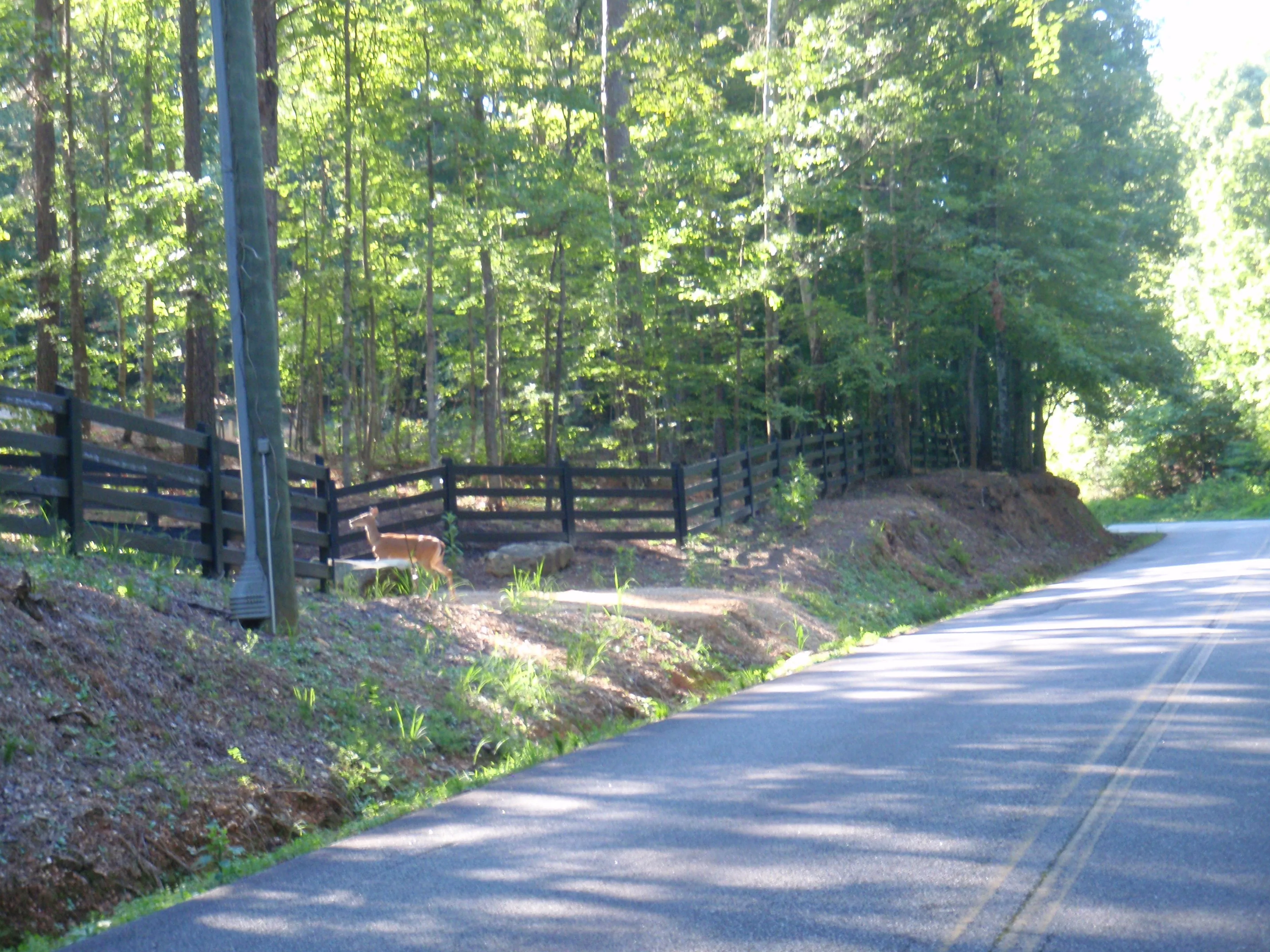 P8240286