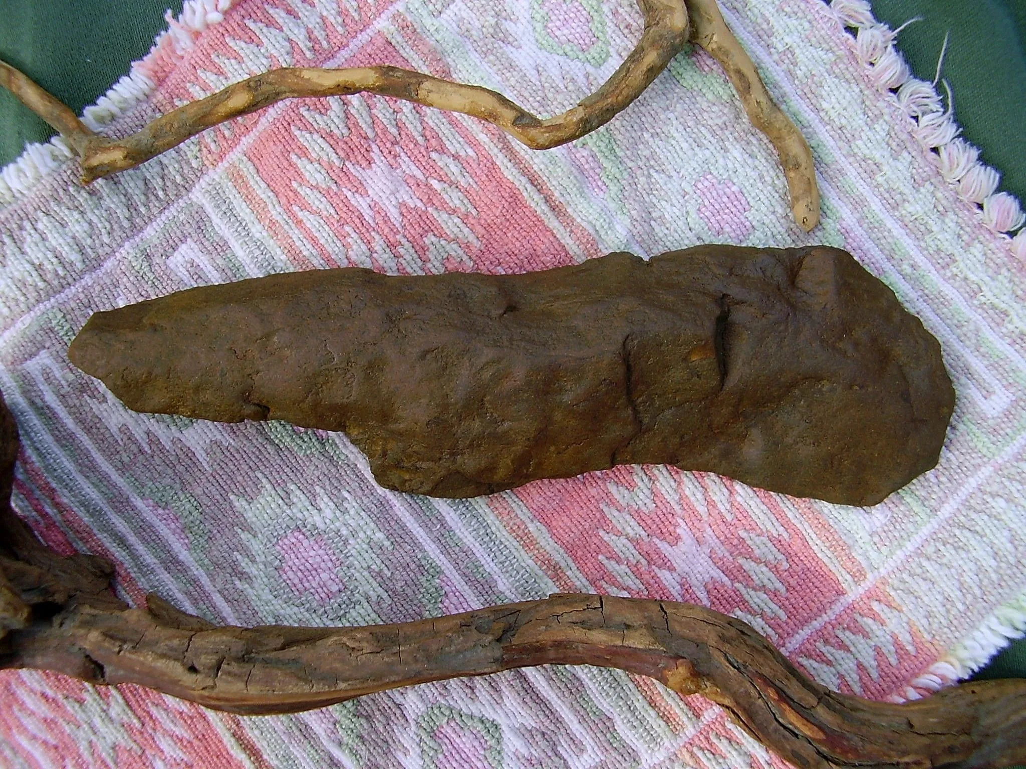 PA260039
