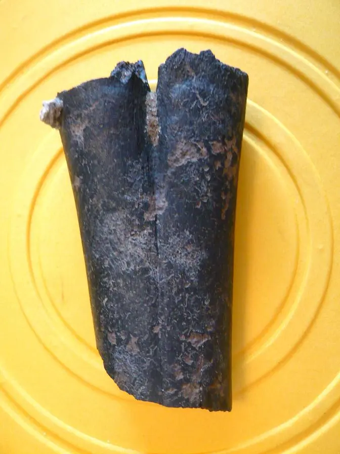 Part of a Camel Llama leg bone