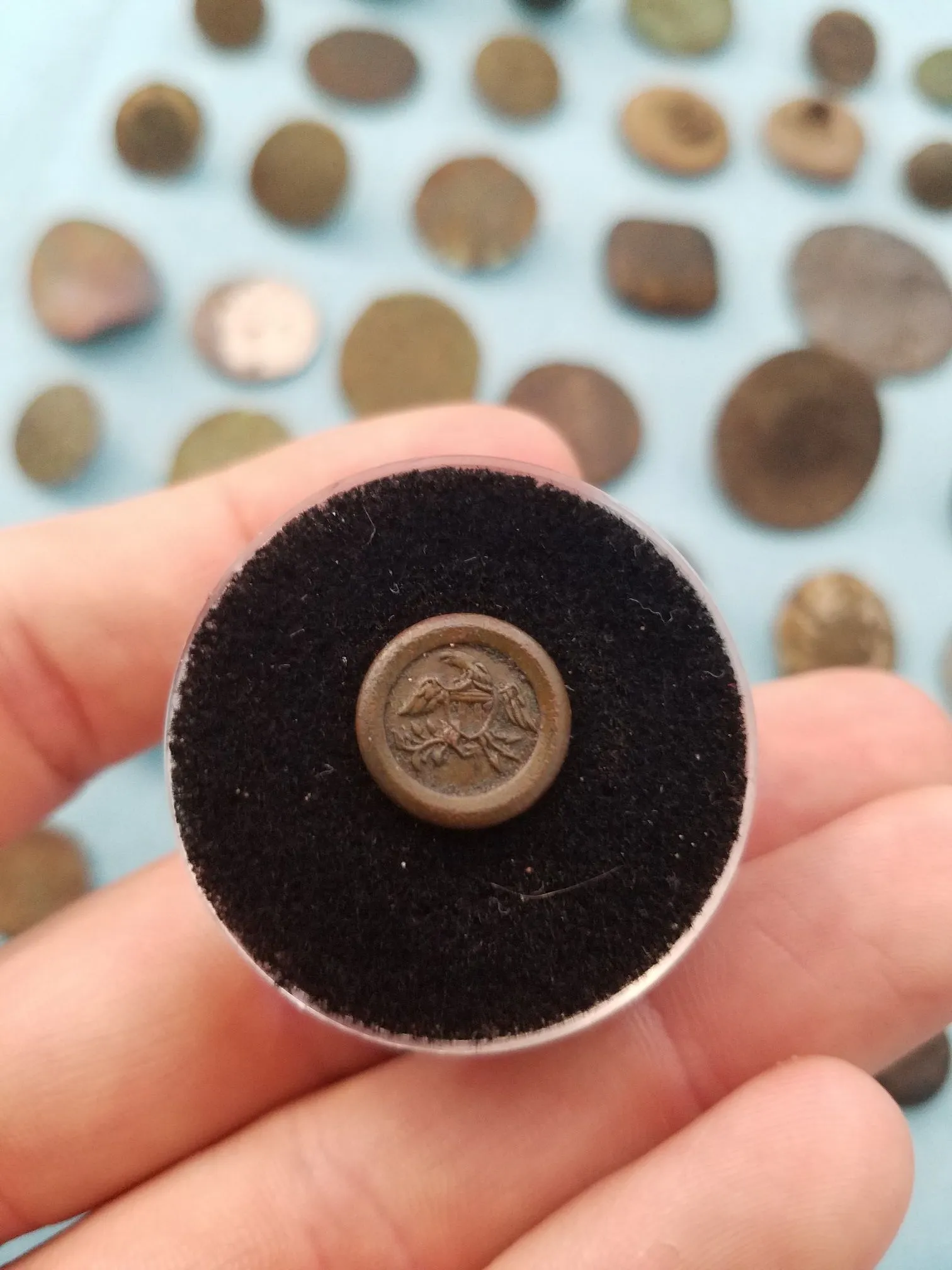 Patriotic eagle button