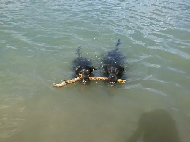 phone pics 114