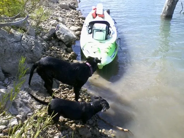 phone pics 115