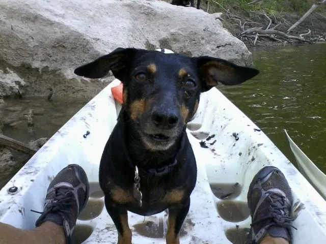 phone pics 122