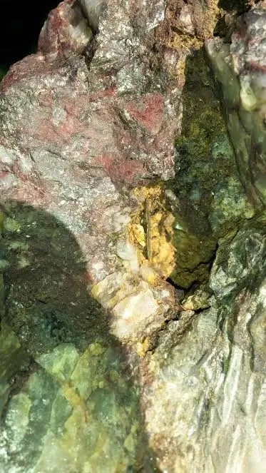 Pic 18