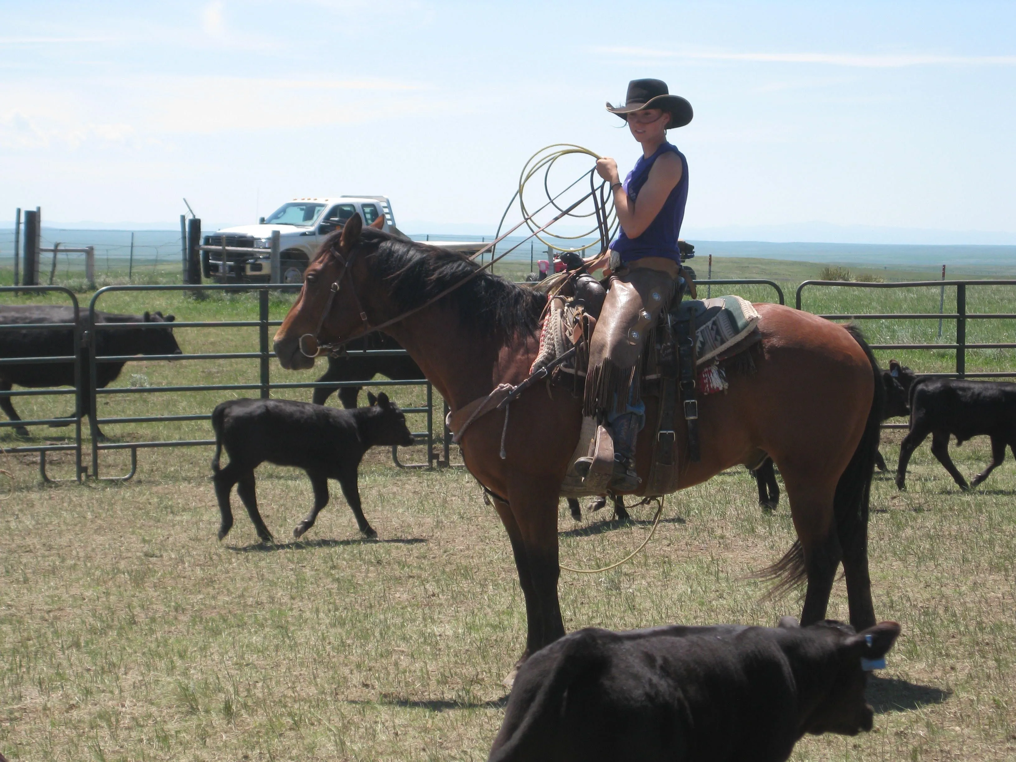 Picking out the right calf to rope.