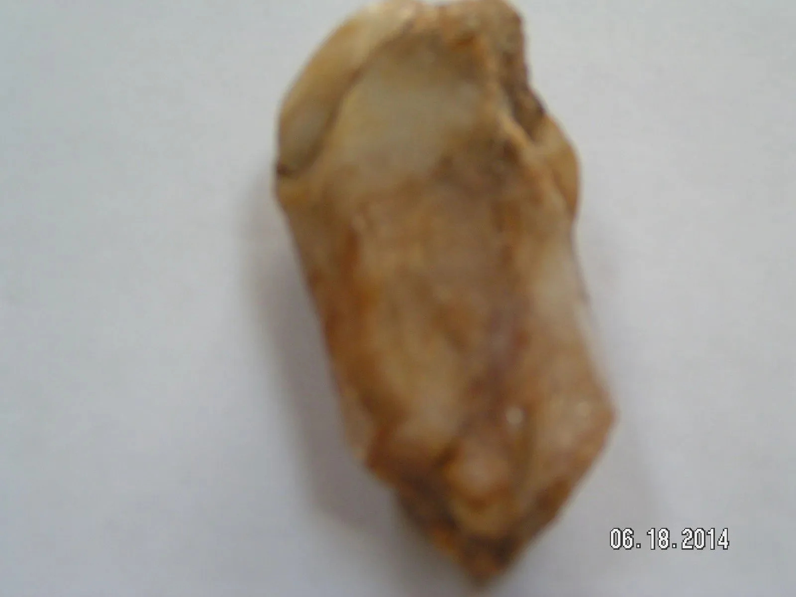 PICT0015