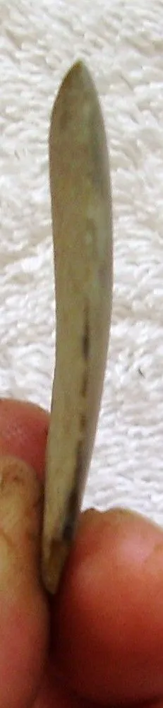 Picture or Video 100