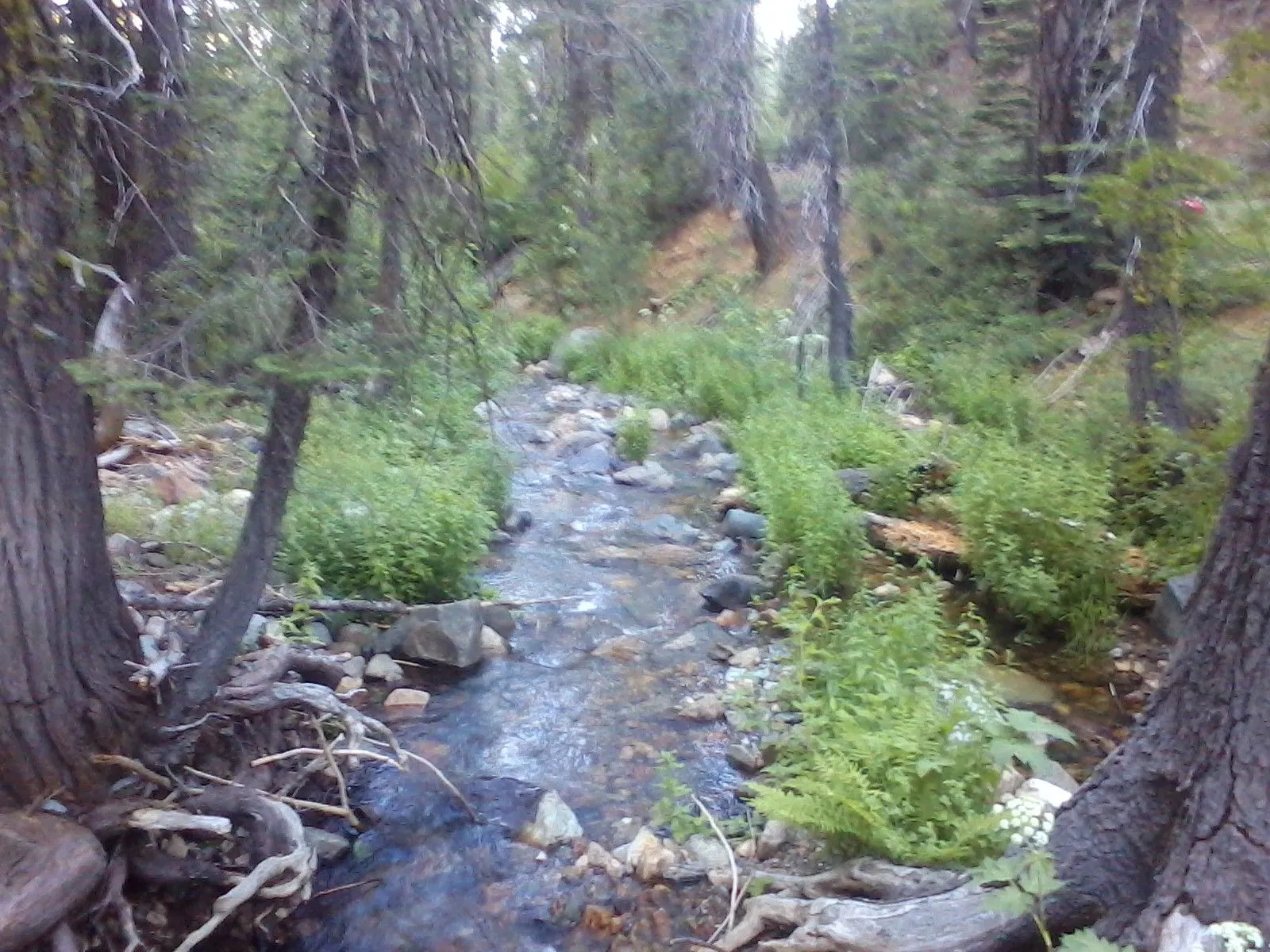 Picture0021