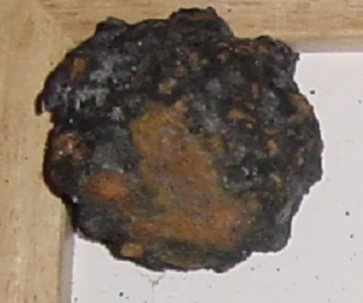 POSSIBLE CANNON BALL - OCEAN FIND (BEFORE)