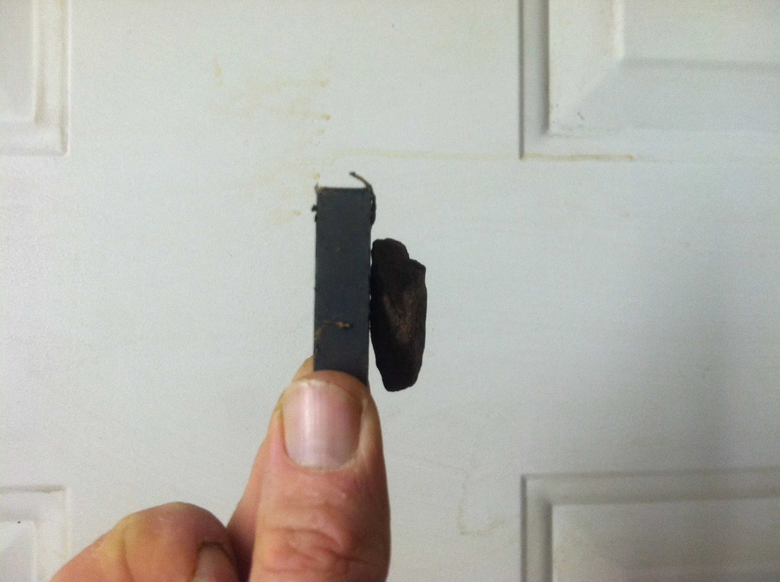 Possible meteorite. pending professional identification.