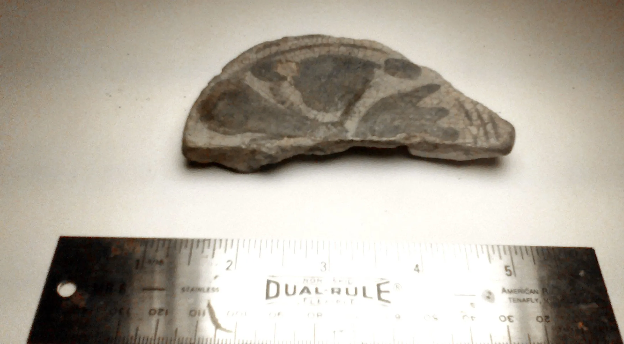 pottery shard