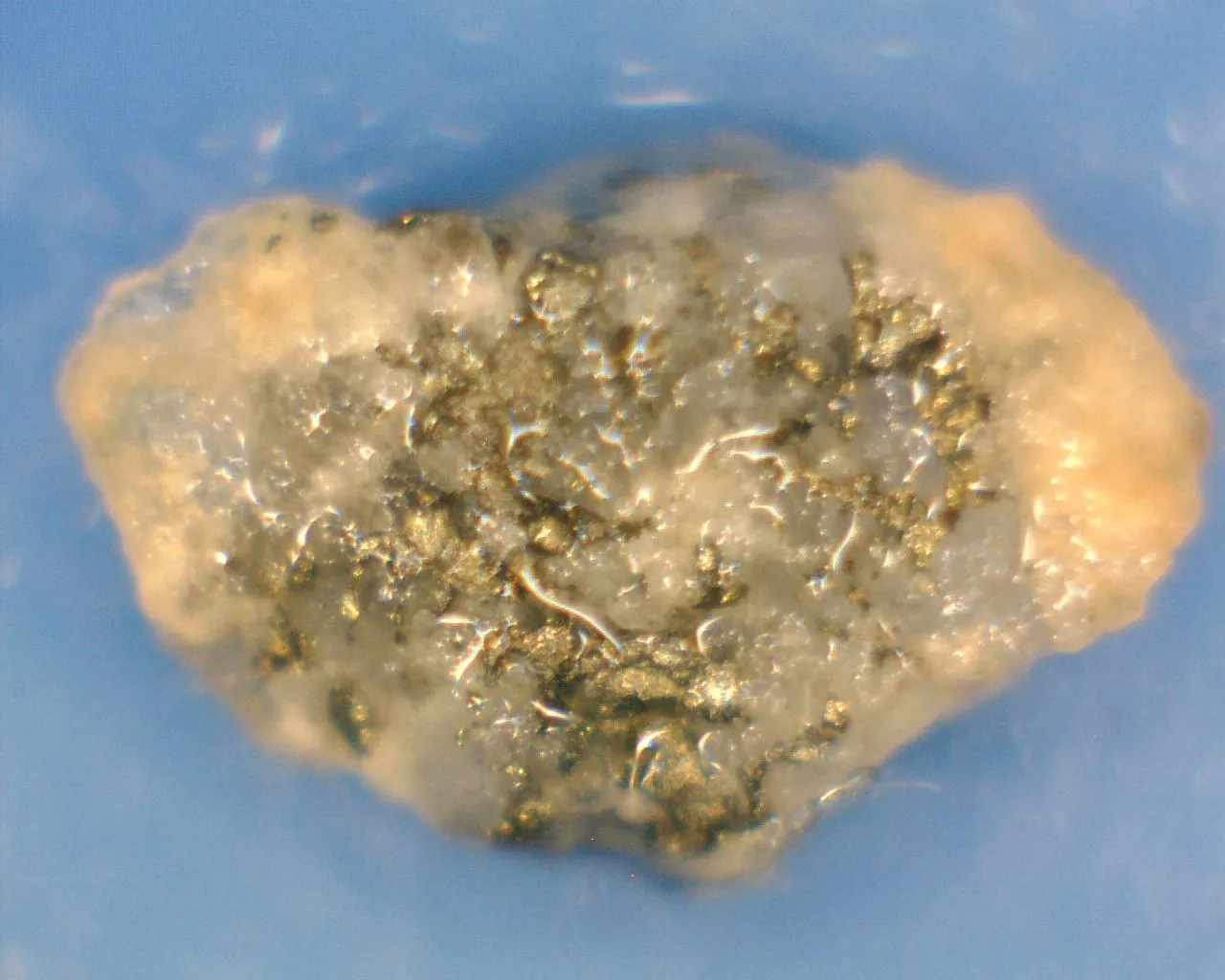 Quartz & Gold
