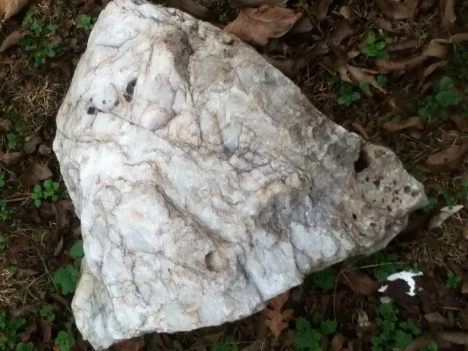 Quartz rock took three people to lift it.