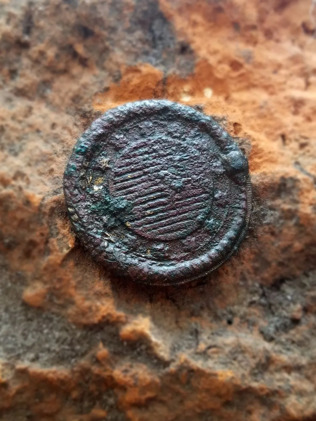 Rattlesnake button
