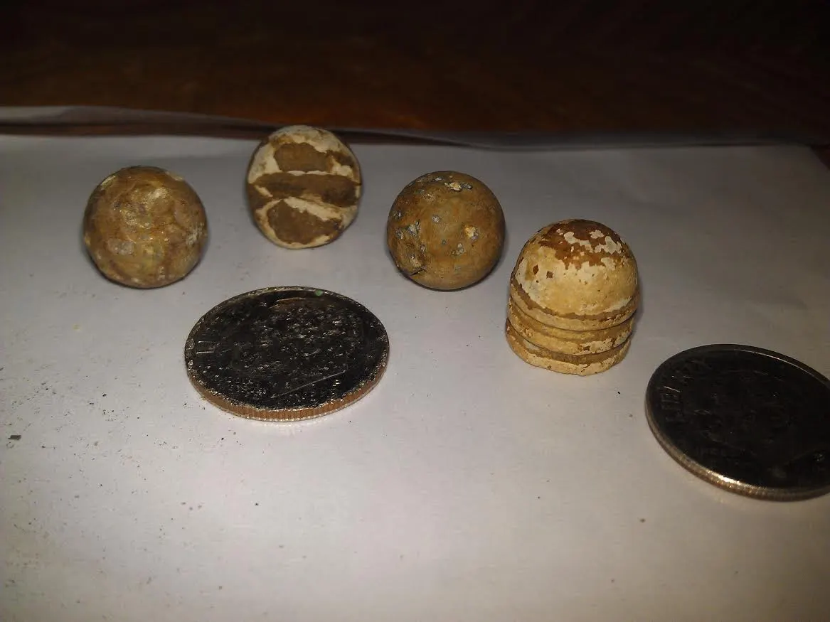 reid bullets