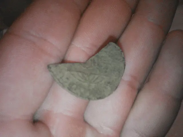Reverse of 10 $ Reis