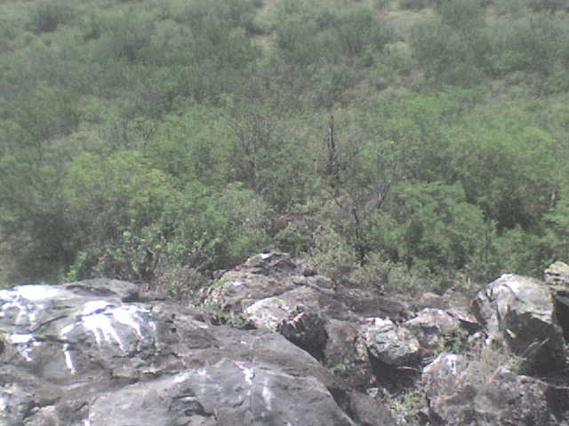 rock cliff 1 - view